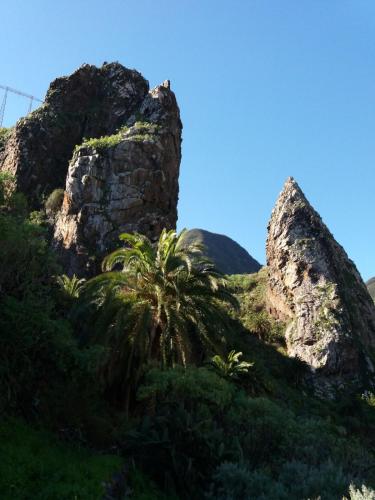  Casa Alpaca in Hermigua