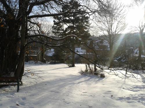 Pension Haus Marga - image 12