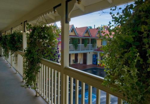 Silverton Inn & Suites 4