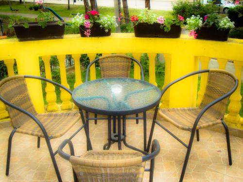 Guesthouse Vila Olivera - image 7