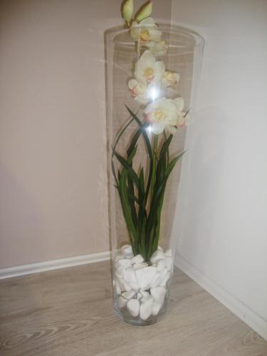 Guesthouse Vila Olivera - image 5