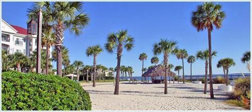 Harborside at Charleston Harbor Resort and Marina