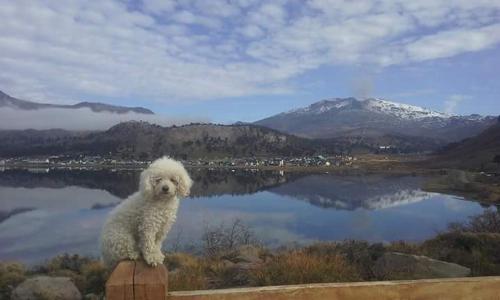 LU-MAR in 卡比亞夫