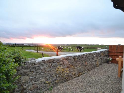 Flynn's Cottage Quilty - image 7