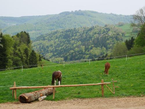 La Joux Chaupe - image 14