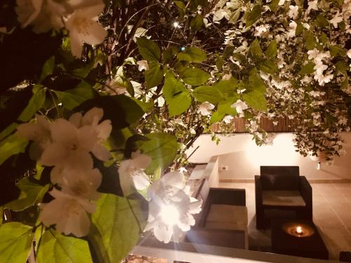 Aruna Suites - image 5