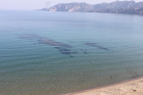 "CASA CANSELLA" a few steps from the sea