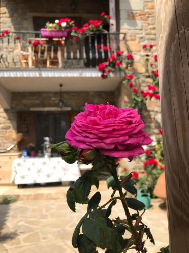  Degirmen Konukevi in Gokceada Town