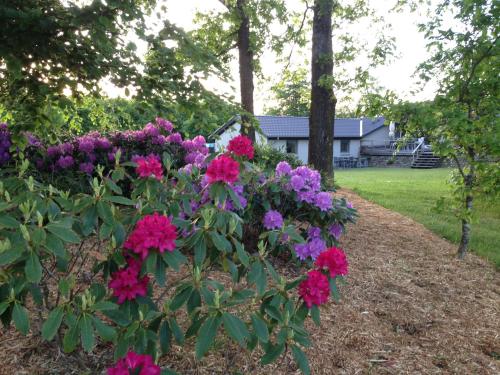 Jensens B&B - image 11