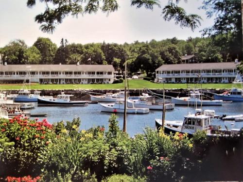 Auberge on the Cove