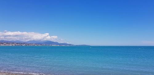 Blue terrace apartment - Marina Baie Des Anges