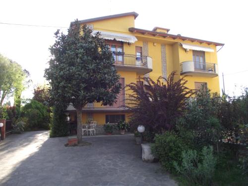 La Libellula - Arezzo