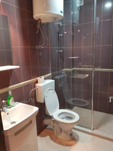 Zlatibor Hills Nature - image 12