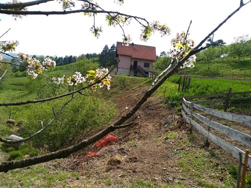 Seosko domaćinstvo Božić - image 7