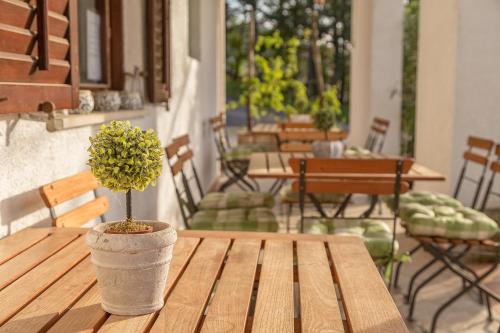 Glamping Green Istria Tiny Houses