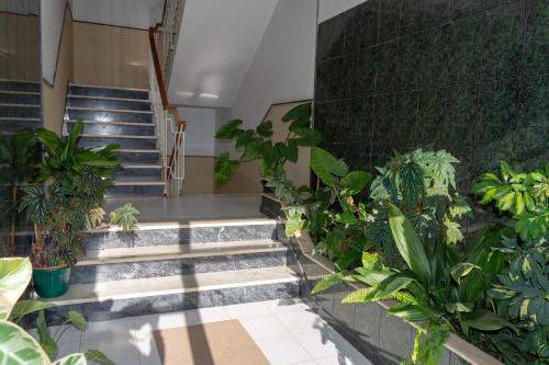 入口, Flat in the Heart of Algarve in 普拉亚达洛查