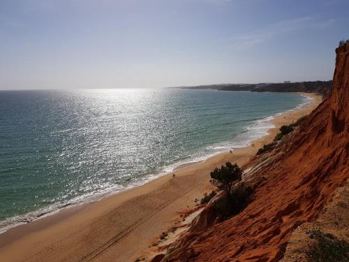  T1 Albufeira Falesia, Pension in Albufeira