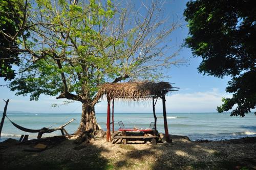 Howler Monkey Hotel