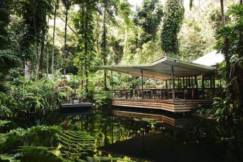 Daintree Ecolodge Room Type - Canopy Villa