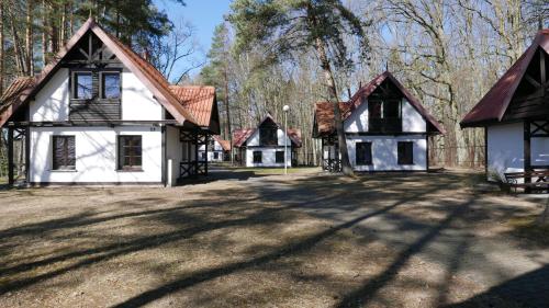 Ośrodek Szkoleniowo - Wypoczynkowy Guzianka (Osrodek Szkoleniowo - Wypoczynkowy Guzianka) in Руцяне