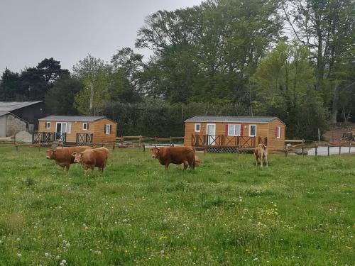 Les chalets de Bes "Le Campagnard "