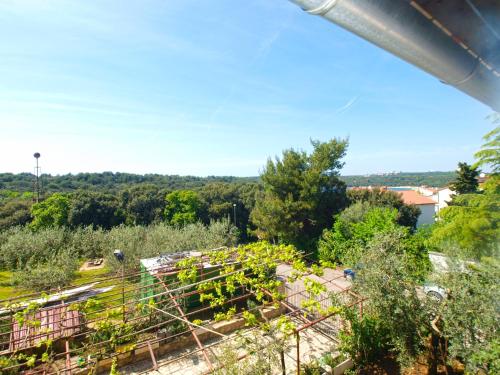 Apartment Marino 1619 - image 8