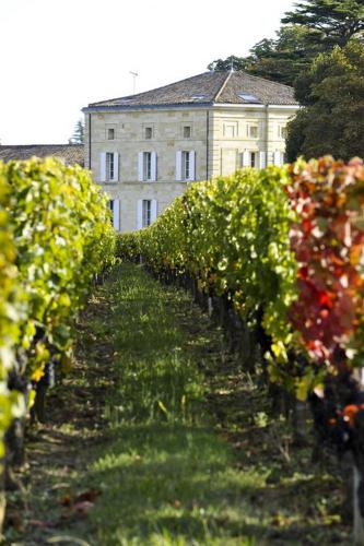 Villa Héloïse - Chambre d'hôtes - Puisseguin