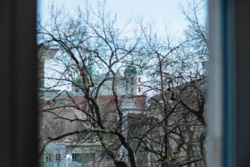 Park Apartments - image 5