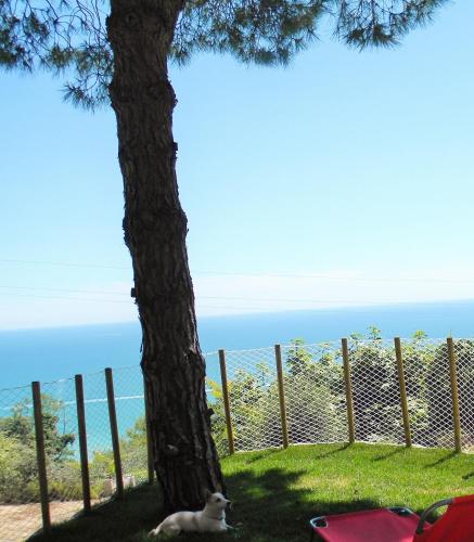 B&B Verderosa – Cupra Marittima, MO