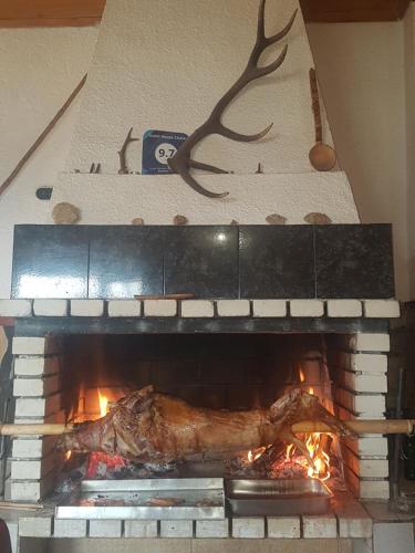 Guest House Chala - image 6
