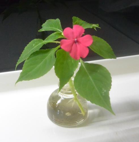 礁溪松田民宿  礁溪松田民宿