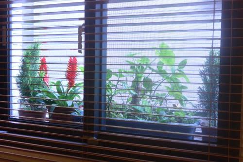 礁溪松田民宿  礁溪松田民宿