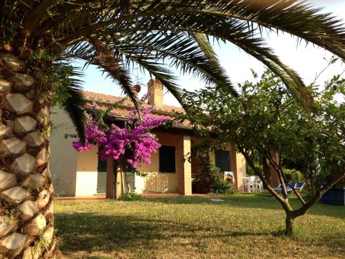 Casa Vacanze MARE ETRUSCO gîte à louer Populonia