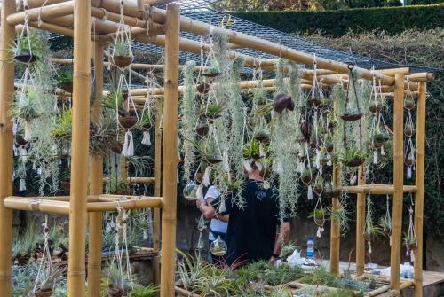 Top of the Rebberg Mulhouse - 2BR near the Zoo - image 2