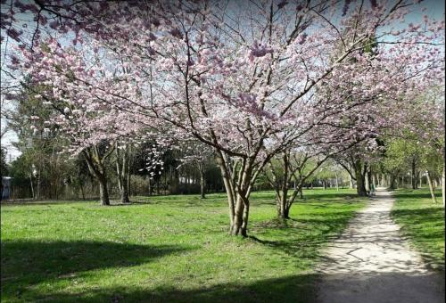 Top of the Rebberg Mulhouse - 2BR near the Zoo - image 6