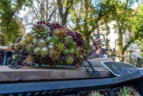 Top of the Rebberg Mulhouse - 2BR near the Zoo - image 9