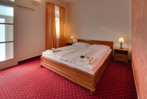 101 PENZION - image 6