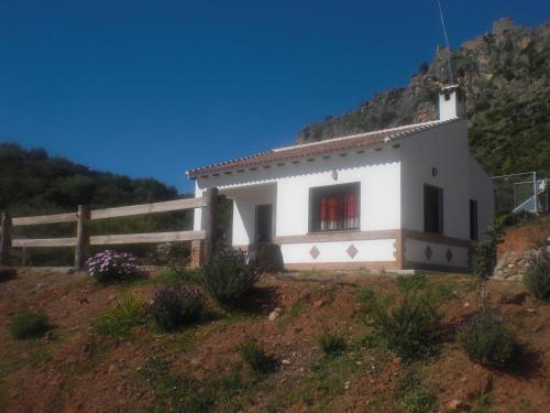 La Solana de turon. La coscoja.