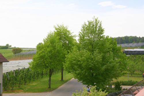 Waldvogel Ferienzimmer klimatisiert