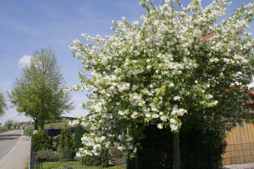 Waldvogel Ferienzimmer klimatisiert