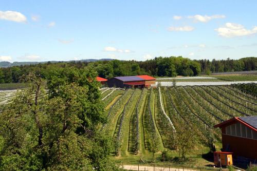 Waldvogel Ferienzimmer klimatisiert