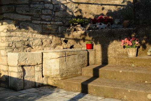Mario (RADE), Korčula (Curzola) (foto 6)