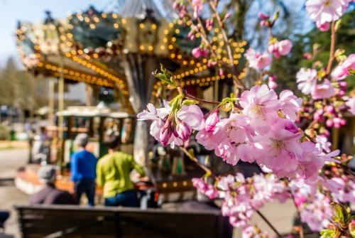 Top of the Rebberg Mulhouse - 2BR near the Zoo - image 11