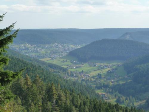 Schwarzwald-Ferienwohnungen Begert - main image