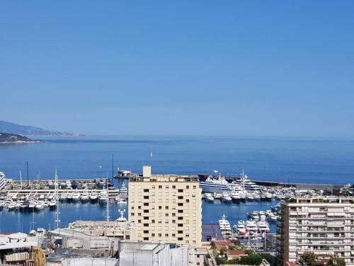 Plein coeur de Monaco, à 300 mètres à pied du port de Monaco, 4 pièces, escaliers vue mer. photo 3