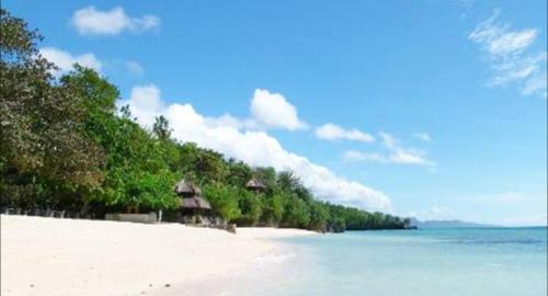 트래짓 포인트 호스텔 막탄 세부
