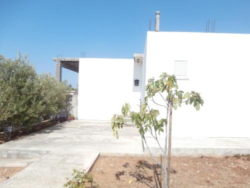  Apartment Nada 2's Apartment at 2 Krči, Unterkunft in Sevid