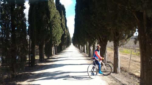 Il Pozzo Della Citerna - image 4