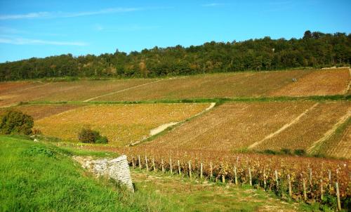 Domaine de la Corgette