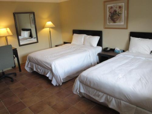 Double Room with Two Double Beds - Non-Smoking